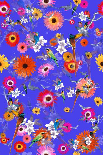 536722-中国风 花鸟印花