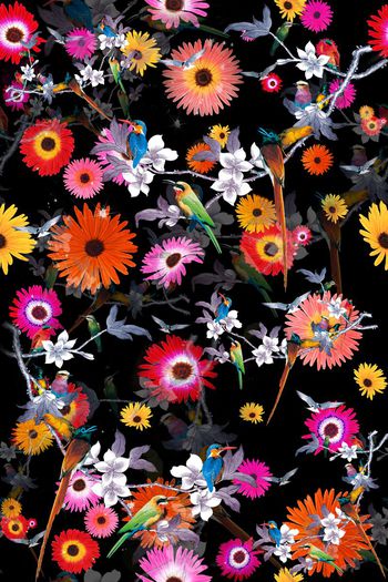 536723-中国风 花鸟印花