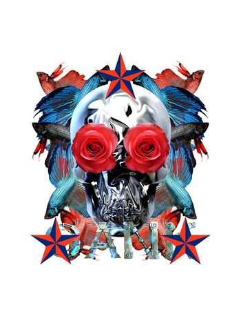 536876- 现代抽象骷髅头，美丽斗鱼，机械字