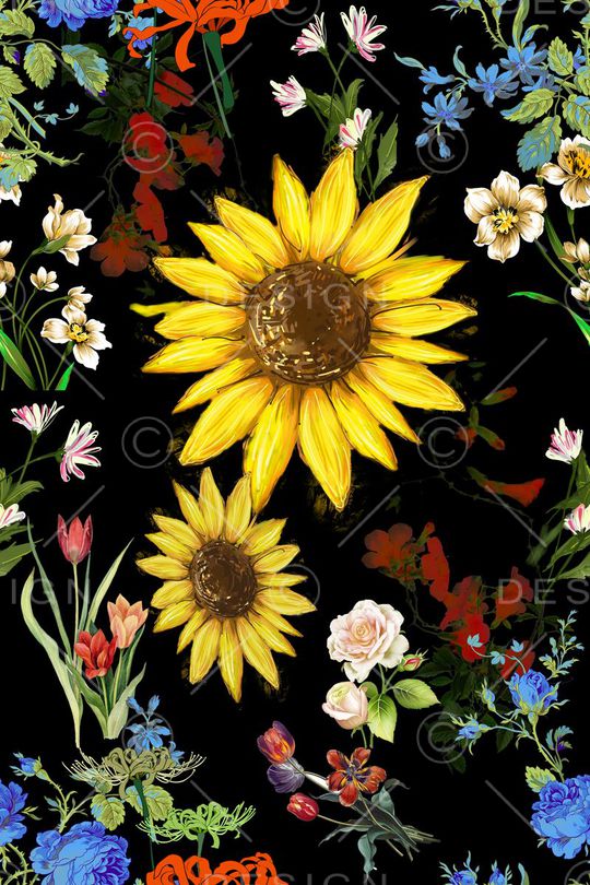 欧款印花华亿平台图片