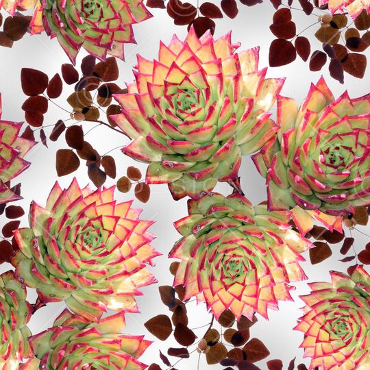 热带植物印花华亿平台图片