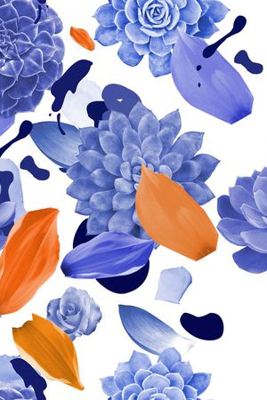 多肉印花华亿平台图片