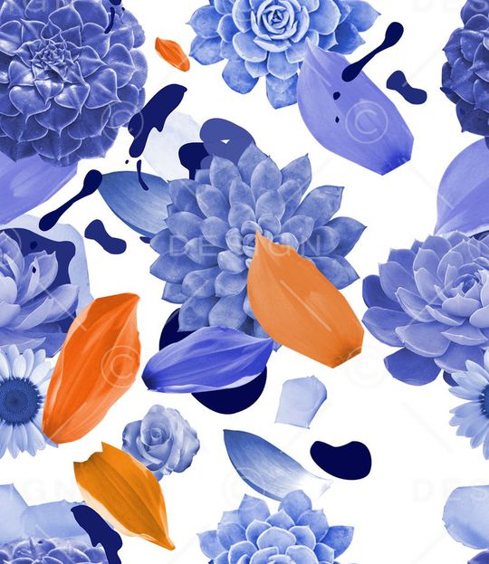 多肉印花华亿平台图片