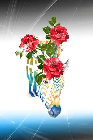 创意服装面料印花华亿平台图片