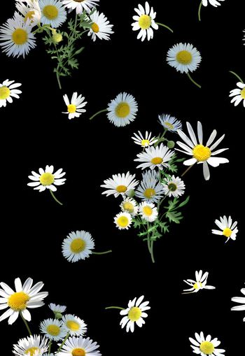 537080- 时尚大牌 花卉小白菊 服装 家纺