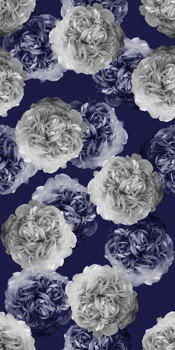 537146-时尚 花卉 玫瑰花  丝绸 棉布 