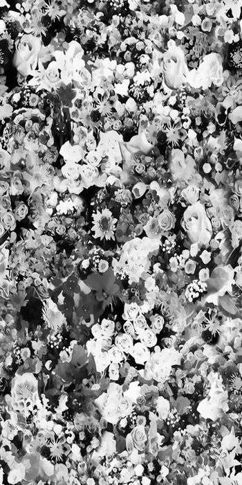 537150-时尚 花卉 单色 小花  丝绸 棉