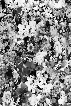 丝绸 棉布 真丝印花华亿平台图片