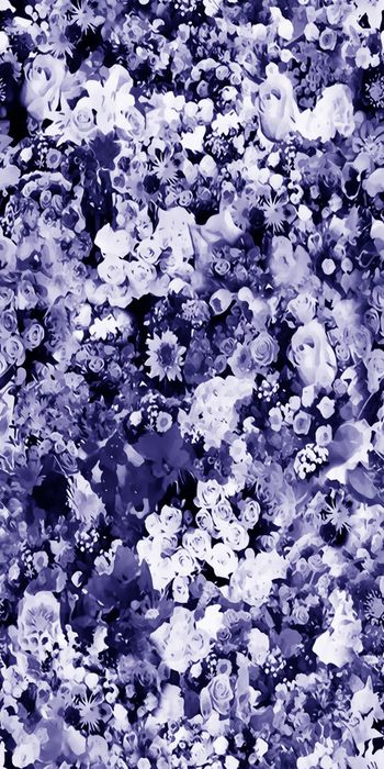 537152-时尚 花卉 单色 小花  丝绸 棉