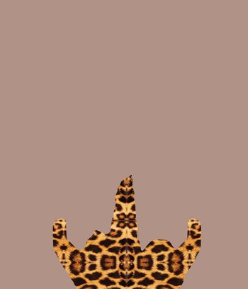 537265-GUCCI新品风格定位抽象老虎前后