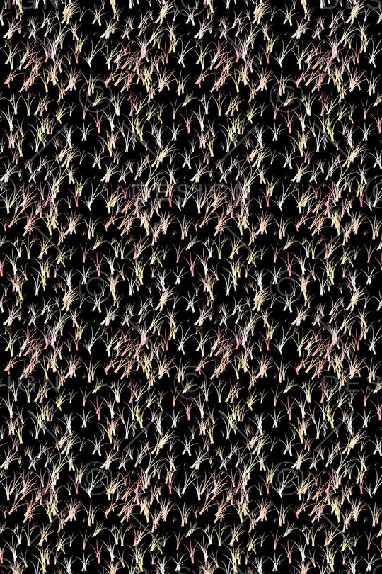 草丛印花华亿平台图片