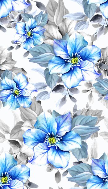 537446-水彩蓝色罂粟