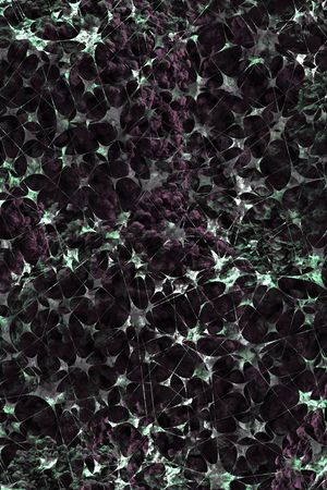 复古印花华亿平台图片