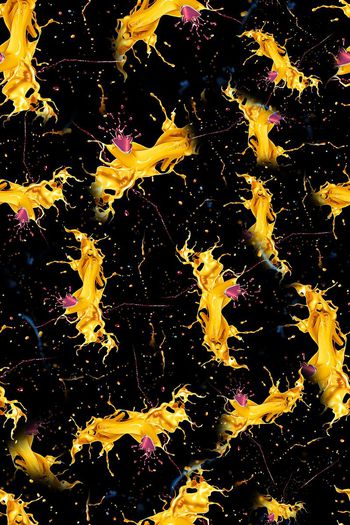 水彩印花华亿平台图片