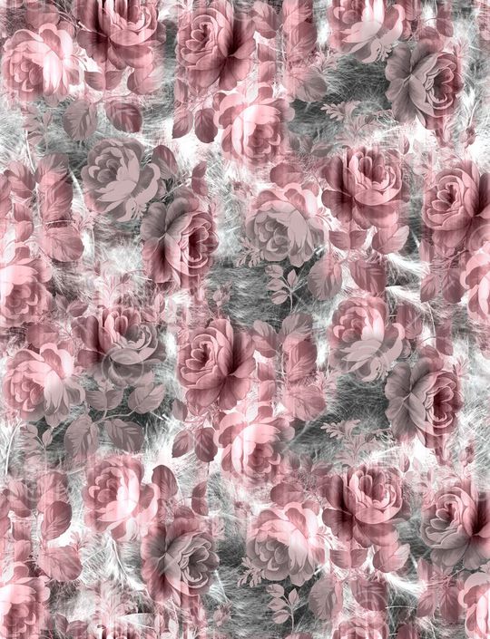 女装印花华亿平台图片