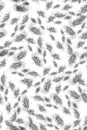 L.D~手绘印花华亿平台图片