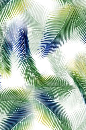 热带印花华亿平台图片