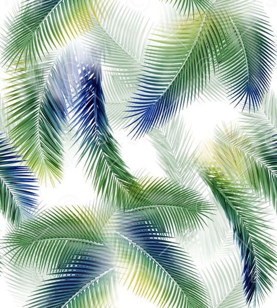 热带印花华亿平台图片