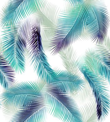 537887-热带棕榈叶