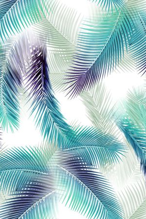 热带印花华亿平台图片