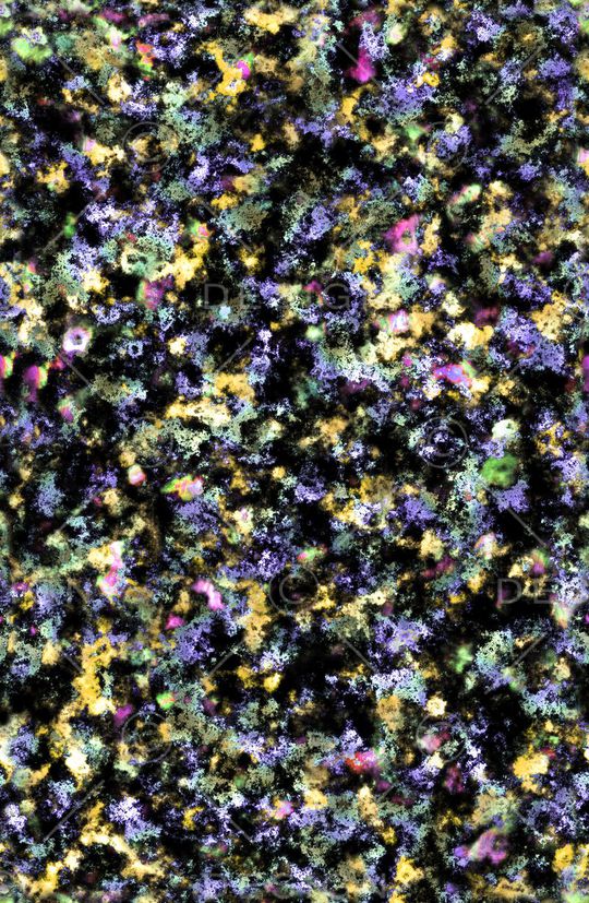 肌理印花华亿平台图片