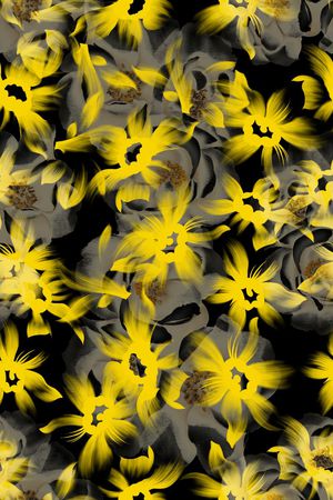 欧款印花华亿平台图片