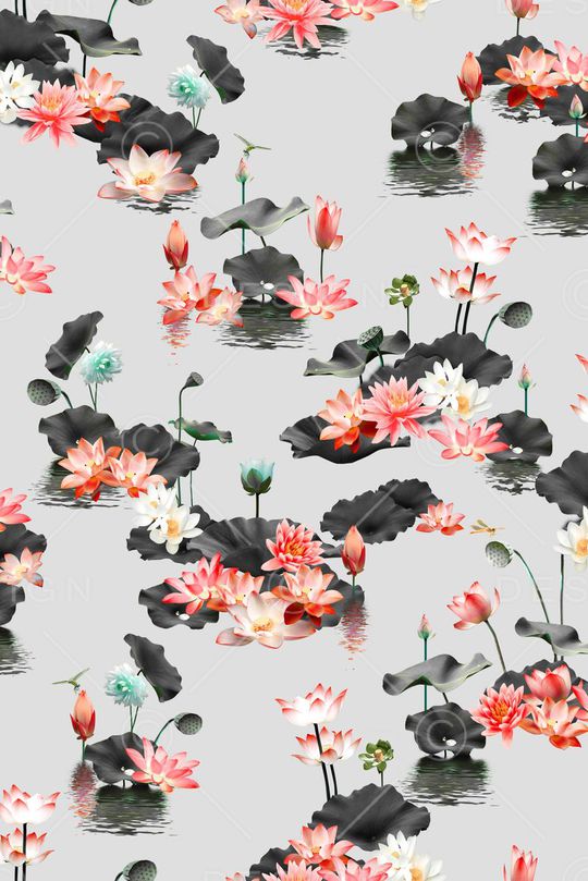 荷花印花华亿平台图片