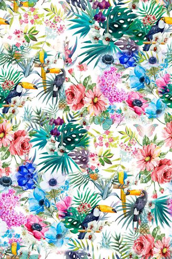 538245-乱花渐欲迷人眼