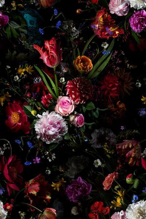 时尚印花华亿平台图片