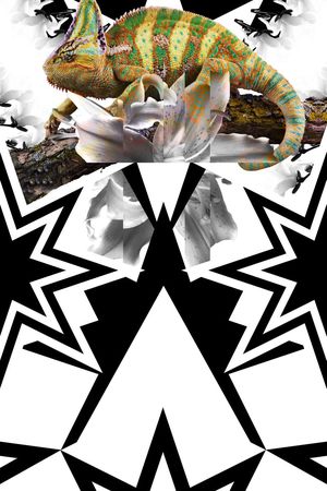 简洁大气男装定位印花华亿平台图片