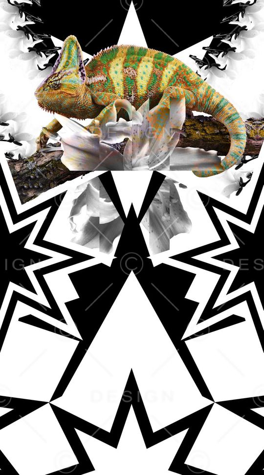 简洁大气男装定位印花华亿平台图片