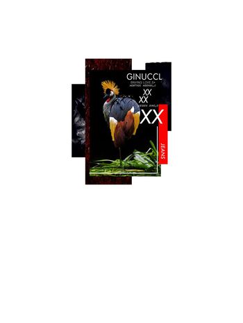 538323-原创时尚潮流艺术鸟动物主题大理纹理