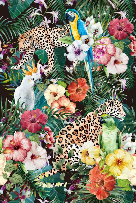 热带雨林印花华亿平台图片