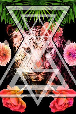 数码华亿平台印花华亿平台图片