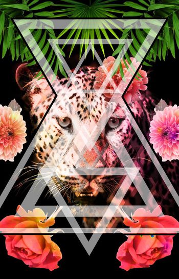 538470-時尚大牌豹子幾何混搭华亿平台