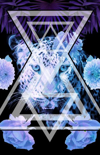 538472-時尚大牌豹子幾何混搭华亿平台