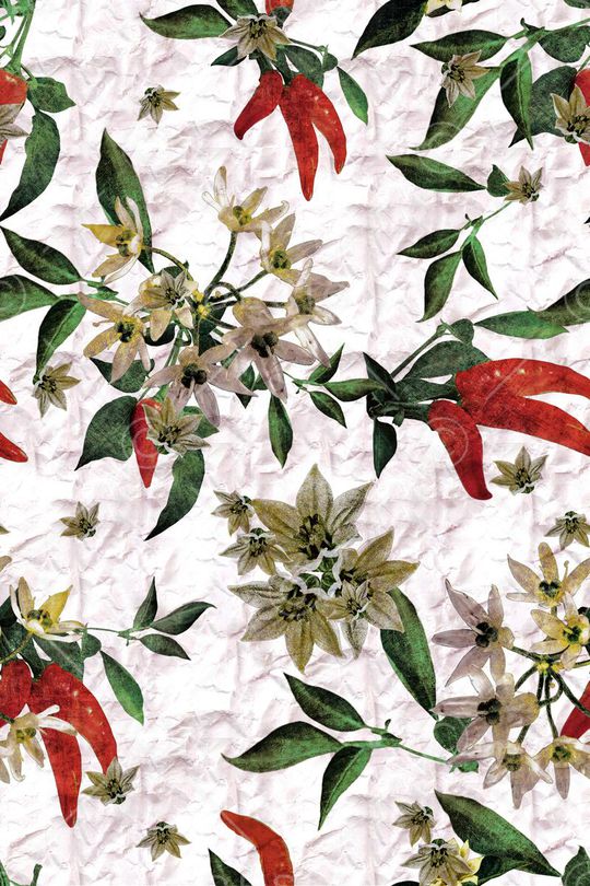 大牌女装 男士休闲衬衫印花华亿平台图片