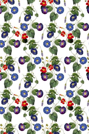 时尚潮流印花华亿平台图片