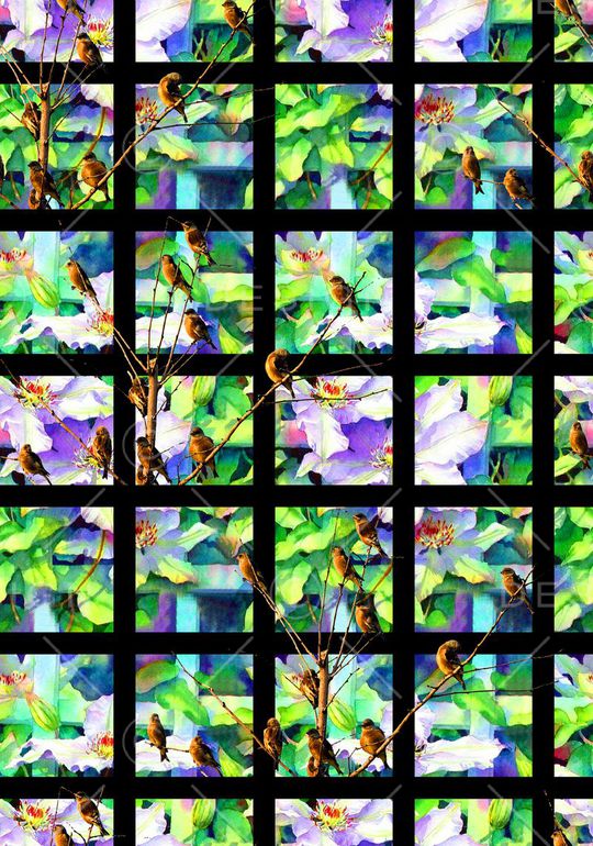 鸟儿印花华亿平台图片