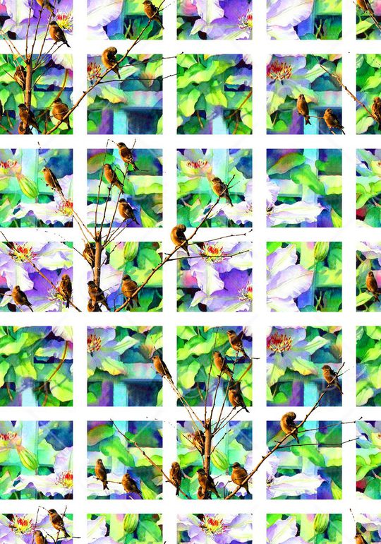 鸟儿印花华亿平台图片