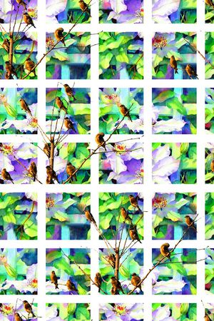 鸟儿印花华亿平台图片