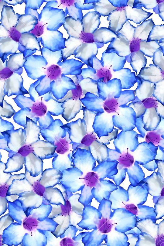 流行时尚印花华亿平台图片