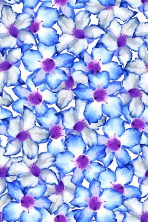 流行时尚印花华亿平台图片