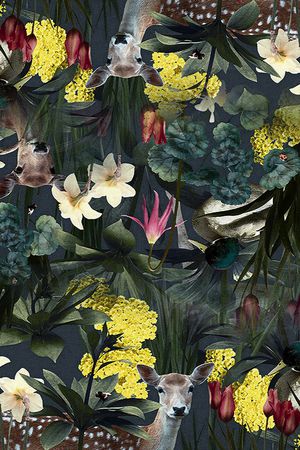 热带丛林印花华亿平台图片