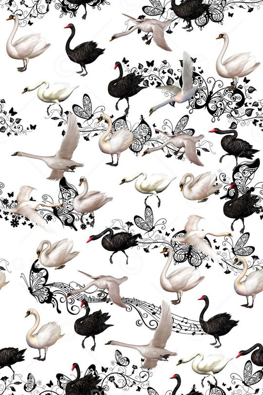 天鹅印花华亿平台图片