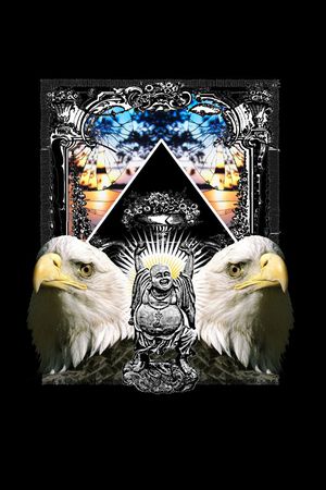 老鹰印花华亿平台图片