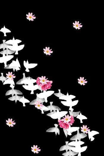 538828-抽象飞鸟花卉长裙图案