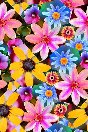 花卉拼接印花华亿平台图片