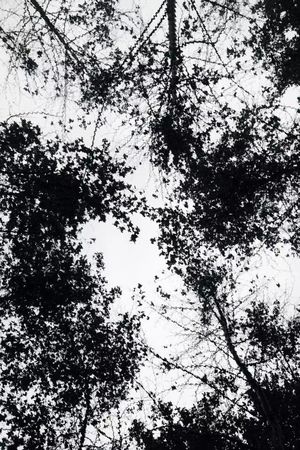 风景印花华亿平台图片