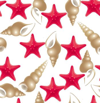 538938-热带海洋风 海星田螺贝壳